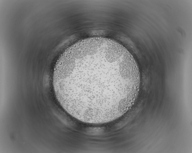 X0000113170161200910021530