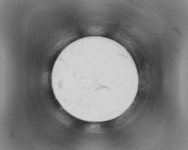 X0000113170162200910021530