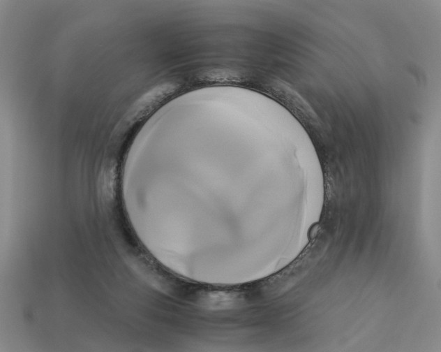 X0000113170163200910021530