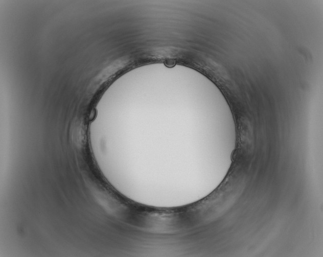 X0000113170164200910021530