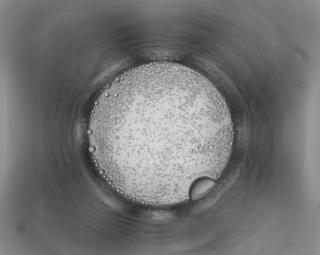 X0000113170165200910021530