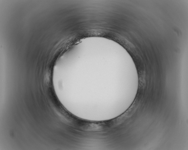 X0000113170166200910021530