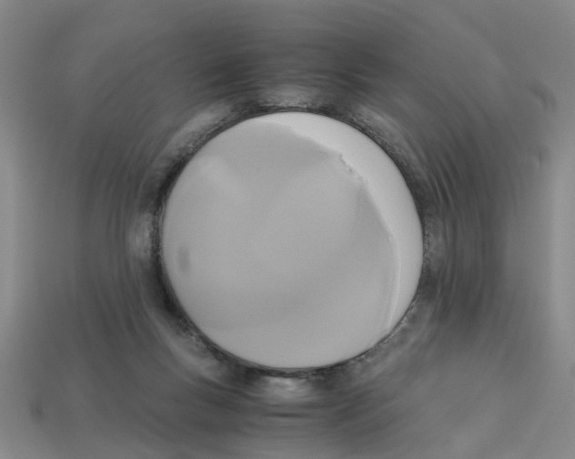X0000113170167200910021530