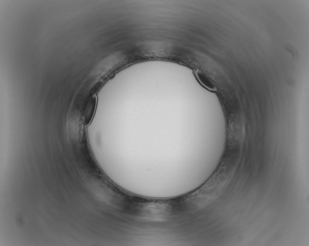 X0000113170168200910021530