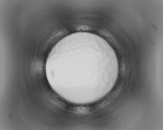 X0000113170169200910021530