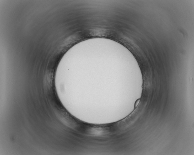 X0000113170171200910021530
