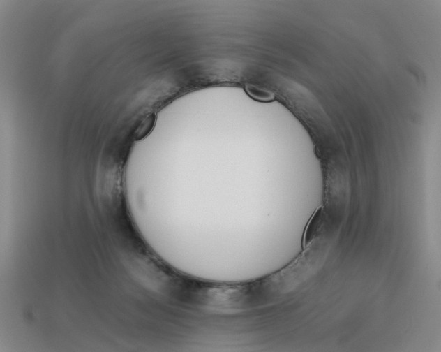 X0000113170172200910021530
