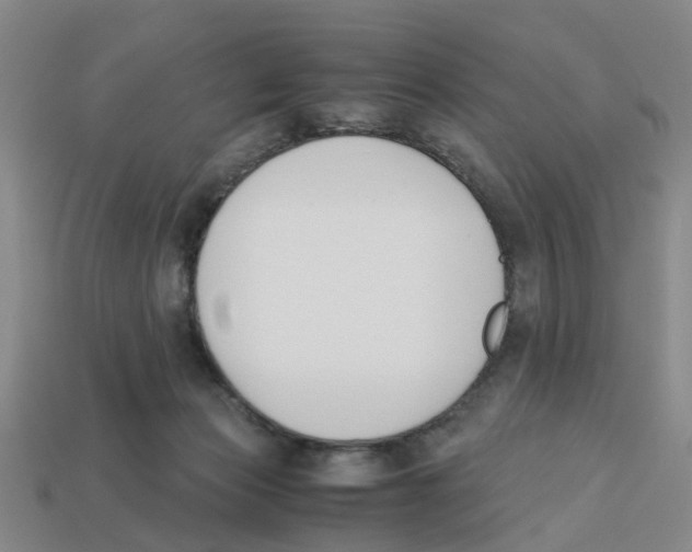X0000113170173200910021530