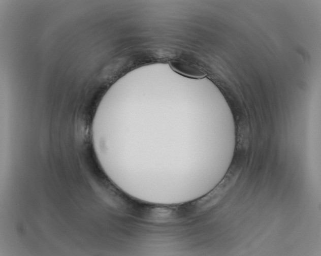X0000113170176200910021530
