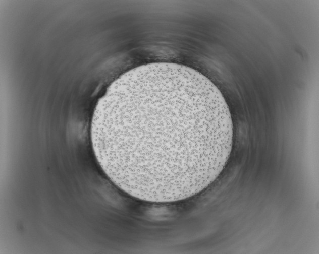 X0000113170177200910021530