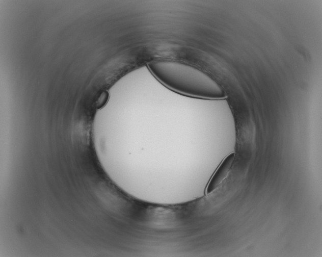 X0000113170180200910021530