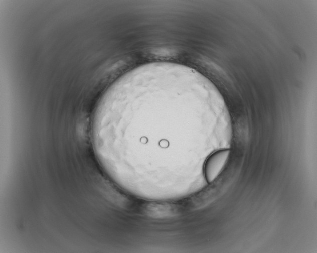 X0000113170181200910021530