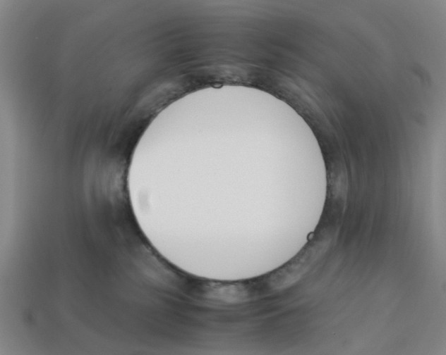 X0000113170185200910021530