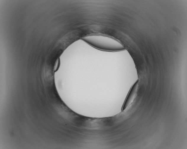 X0000113170186200910021530