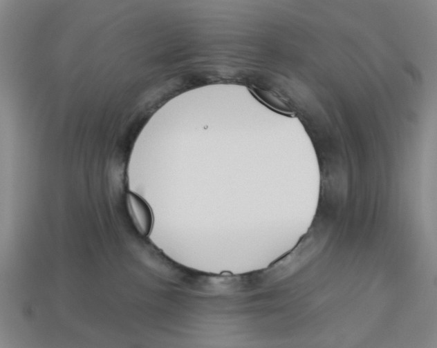 X0000113170188200910021530