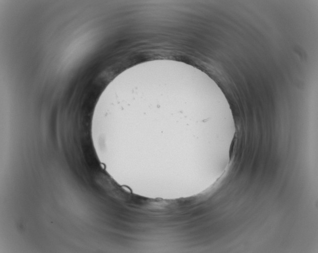 X0000113170190200910021530