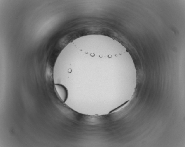 X0000113170191200910021530