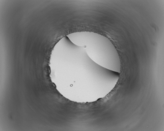 X0000113170192200910021530