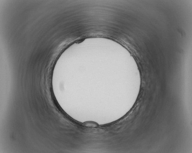X0000113170193200910021529
