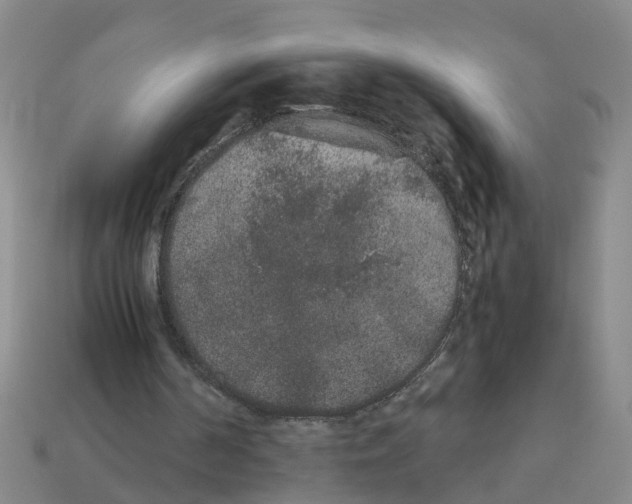 X0000113170194200910021529