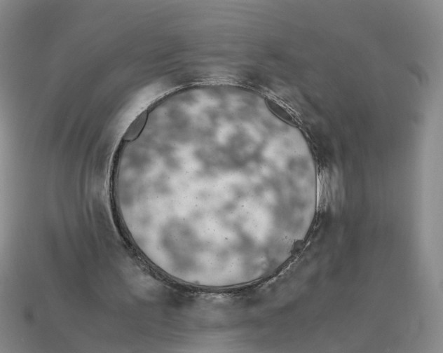 X0000113170195200910021529