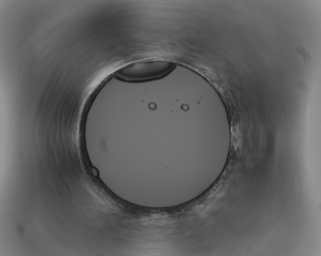 X0000113170196200910021529