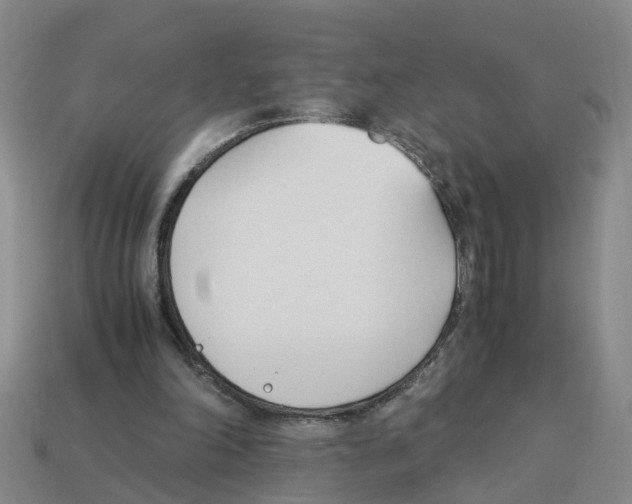X0000113170198200910021529