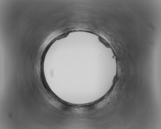 X0000113170199200910021529