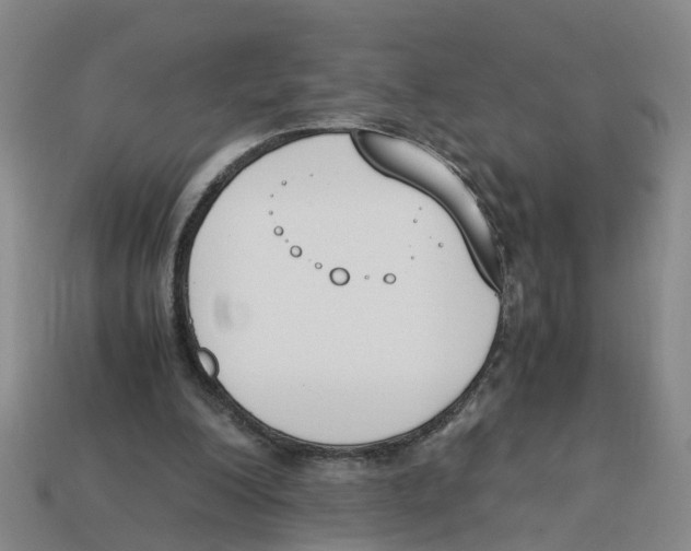 X0000113170200200910021529