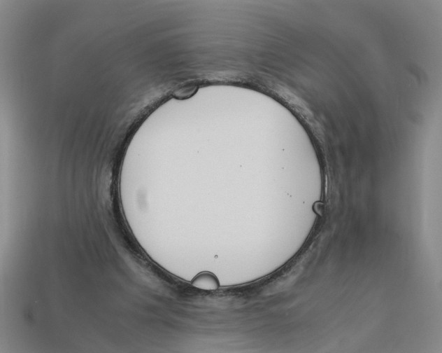 X0000113170201200910021529