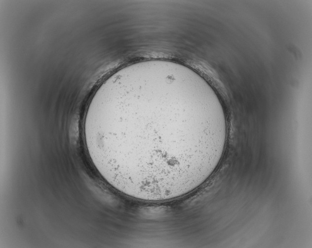 X0000113170202200910021529