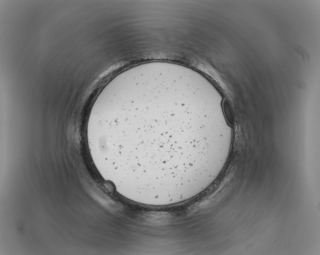 X0000113170203200910021529