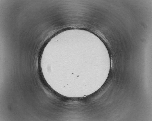 X0000113170205200910021529