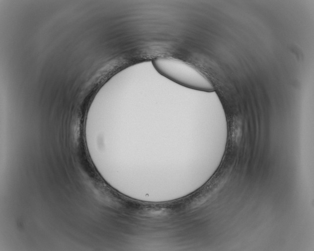 X0000113170206200910021529