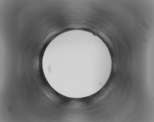X0000113170207200910021529