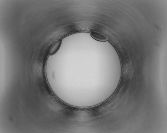 X0000113170209200910021529