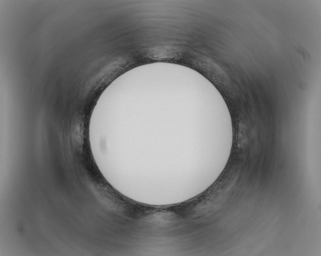 X0000113170210200910021529