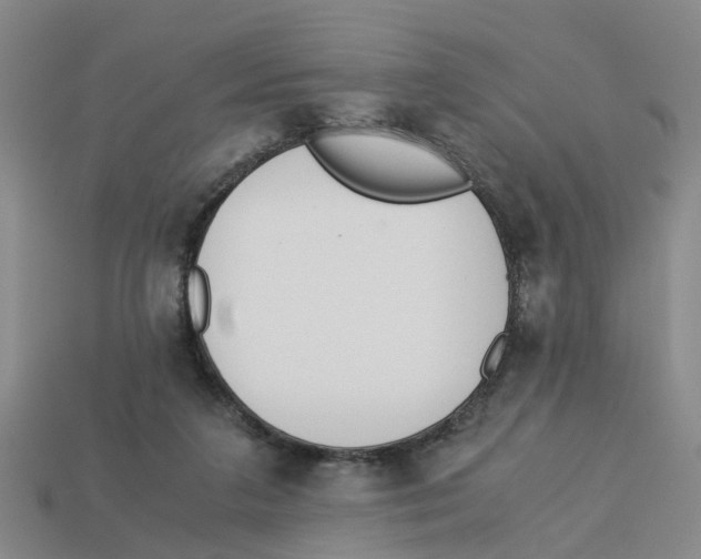 X0000113170211200910021529