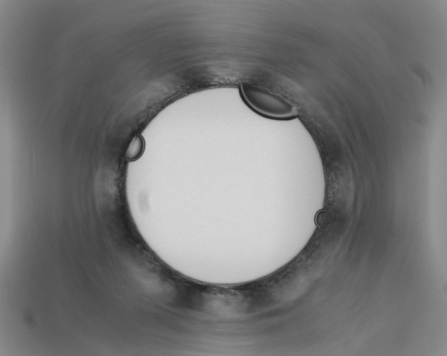 X0000113170215200910021529