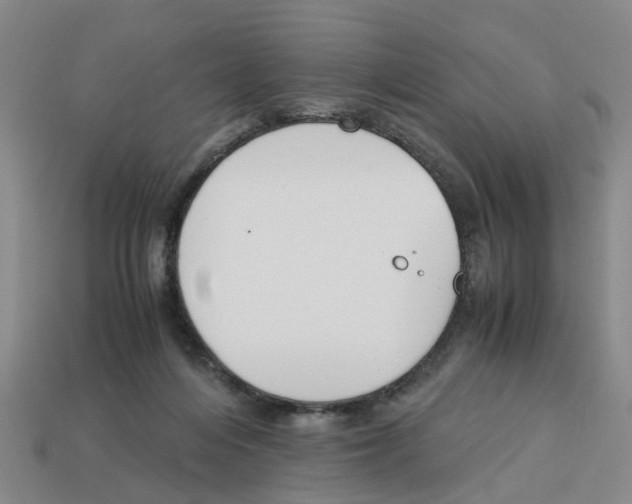 X0000113170216200910021529