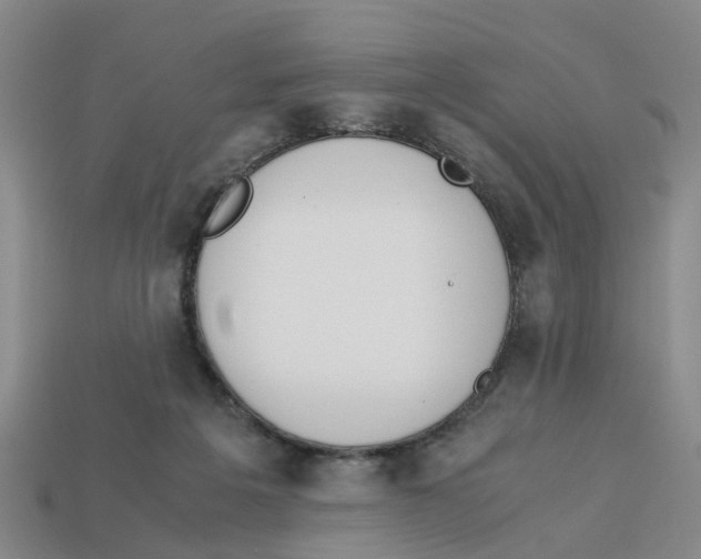 X0000113170217200910021529
