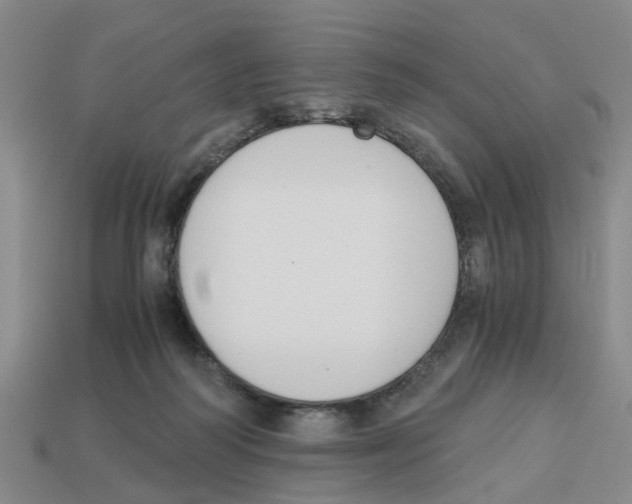 X0000113170218200910021529