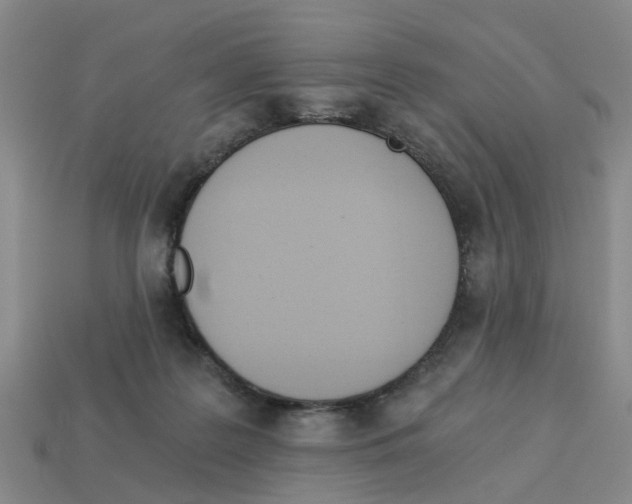 X0000113170219200910021529