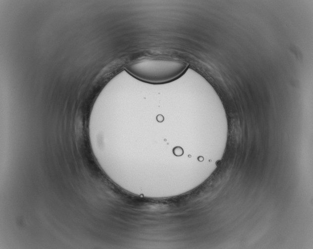 X0000113170220200910021529