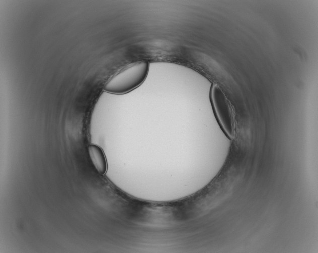 X0000113170221200910021529
