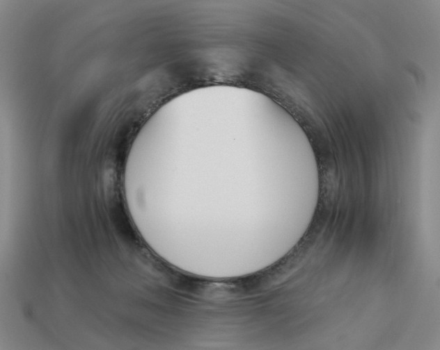 X0000113170222200910021529