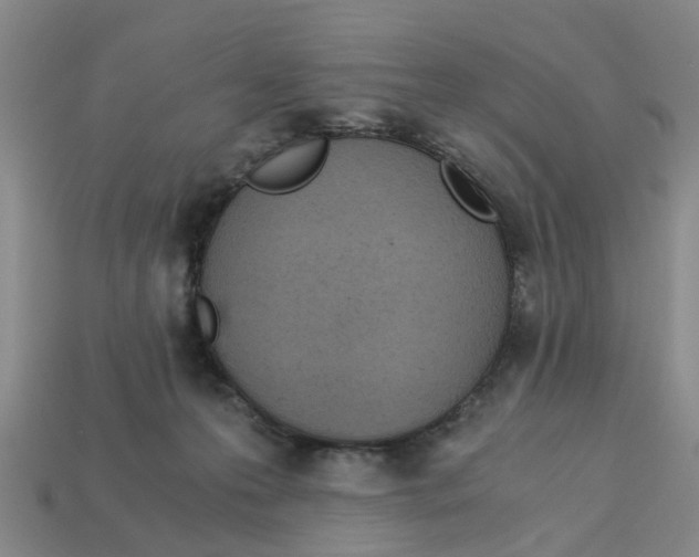 X0000113170223200910021529