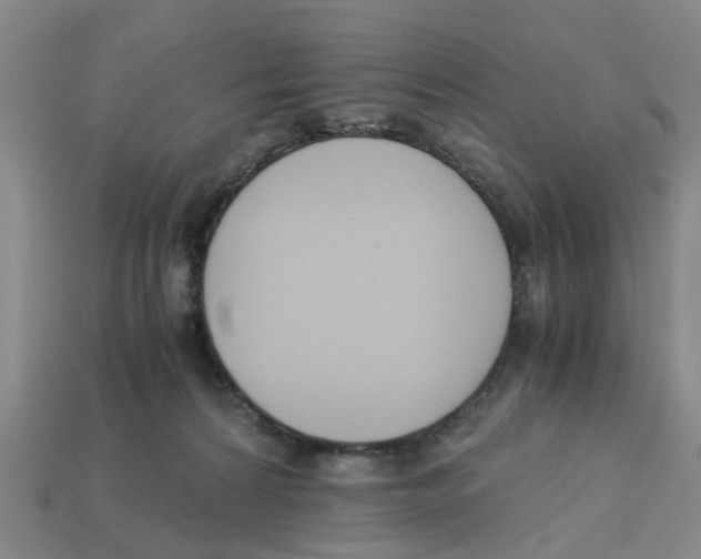 X0000113170224200910021529