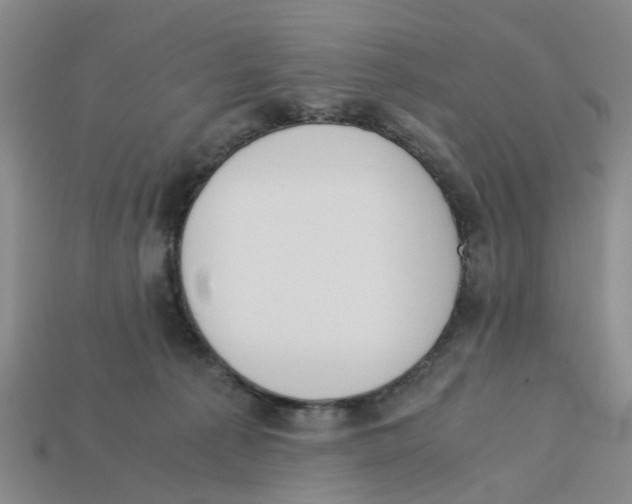 X0000113170225200910021529
