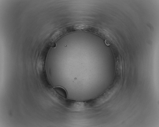 X0000113170227200910021529